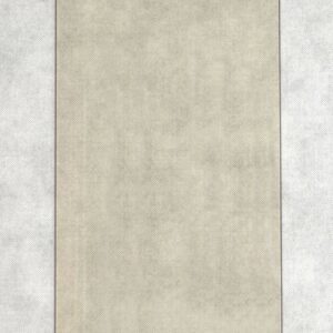 Austroflamm Pi Sichtscheibe links