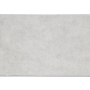 Wodtke Topolino Sichtscheibe