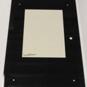 Wodtke Toyo Tür-Dekorglas