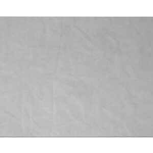 Wodtke Fire SL Sichtscheibe